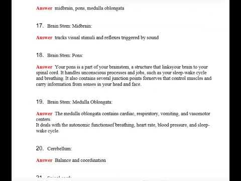 NSG 207 Pediatrics Exam 4 2026 👶🩺 Complete 53-Page Study Guide | Master Pediatric Nursing & Pass