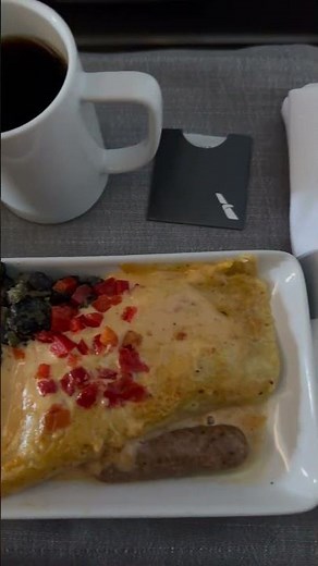 American Airlines First Class Breakfast