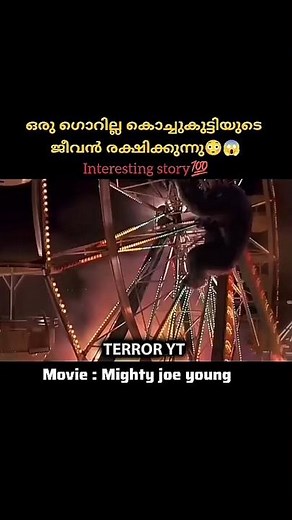 🤌SUBSCRIBE🤌 mighty joe young: The best interesting story 👍🍿