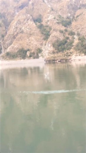 #viral “Not every throw sinks… some fly across the river. 🪨✨”