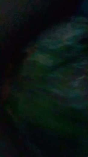 scp 234506 #whale #godzilla