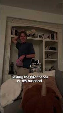 The bird theory #prank #funny