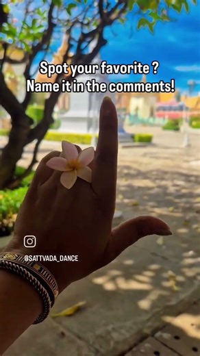 Hastas are the hand gestures used in Indian classical dance, to express. #bharatanatyam #dance