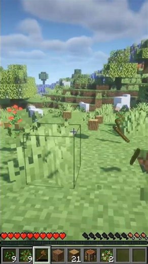 Lucky Sheep everywhere🐏 #fyp #update #minecraft #tiktok