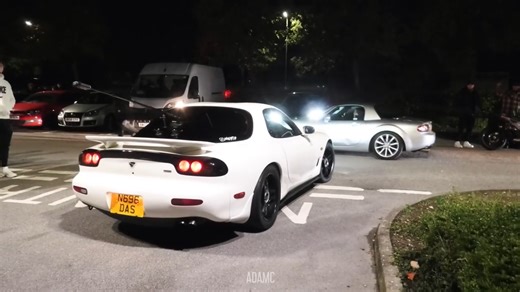 Car owner exhibits destructive behavior at public meet