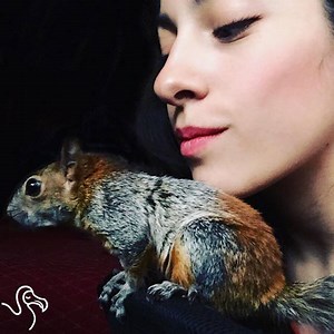 This rescued squirrel couldn't return to the wild, but he found the best mom ever. | The Dodo