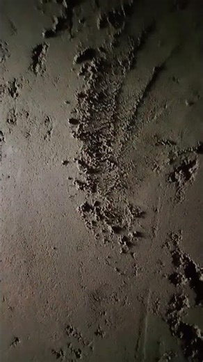 plaster work #constructionchannel #construction #sorts