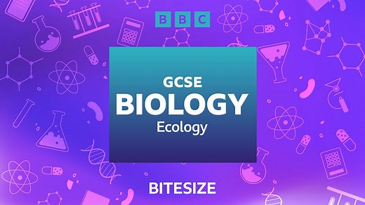 GCSE Science podcasts - Ecology - BBC Bitesize