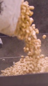 Looking to upgrade your outdoor cooking? https://bit.ly/3YPSax2 Get all your BBQ essentials, and more, at SCHEELS. | Scheels