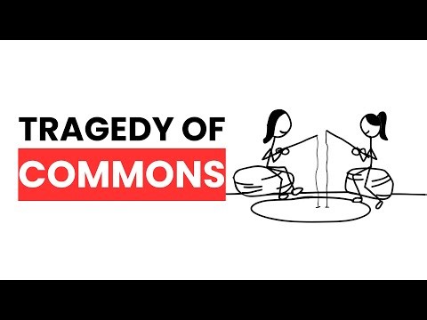 Tragedy of Commons: How Rational Choices Lead to Total Collapse?