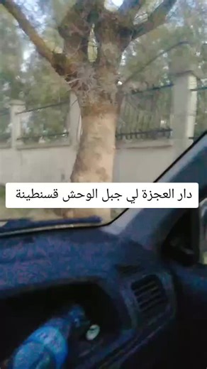 Vidéos de Moaad déco consta (@moaaddecoration) avec الصوت الأصلي - Moaad déco consta