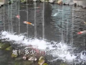 朋友别哭 - 吕方