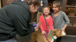 REUNITED: With the help of more than a dozen volunteers, a Butte dog that was stolen and taken nearly 2,000 miles away to Charleston, West Virginia, returned home tonight. Cassandra Rasmussen and her daughters are excited to have Zeus home in time for Christmas. https://nbcmontana.com/news/local/stolen-dog-returns-home-to-butte | NBC Montana