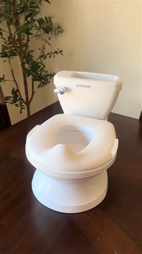 The Realistic Potty Training Toilet for Kids