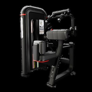 Inspiration® Triceps Extension