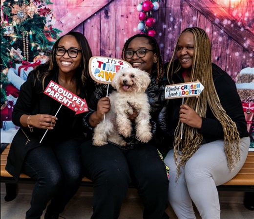 79 pets find homes after free adoption in STL County