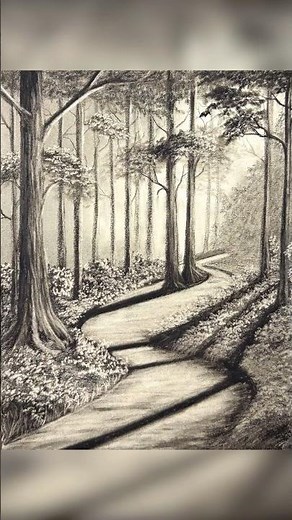 How to Draw a Forest Path with Pencils #charcoal #art #drawing #sketch #landscape #perspective