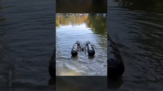 Meet a robot dog no one wants to meet up close