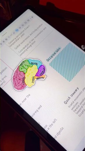 Freenotes makes customizing so easy. Would you try this? #freenotes #study #digitalnotes #studytok