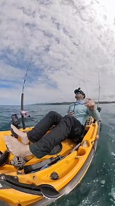 14 reactions | #shortsvideos #short #shortsreels | We Love Robin | Facebook