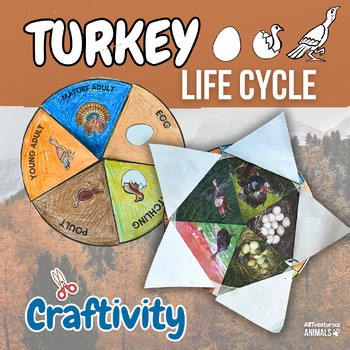 Turkey Life Cycle Craft: Thanksgiving Activity for 2nd, 3rd, 4th, 5th