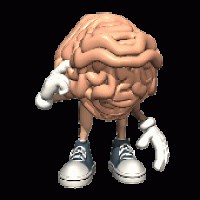 Regiones y países limítrofes del Perú