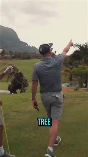 I Refuse To Call This A Tee Shot