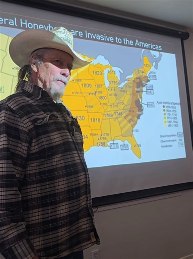 European honey bees were first brought to Virginia by English colonists around 1622 and quickly established both managed and feral colonies across the eastern seaboard. As settlers moved west with their crops and livestock, they carried hives with them, while wild swarms spread ahead of human settlement into interior forests and plains. Because bees often appeared just before colonists, many Native American communities called them “the white man’s fly,” recognizing them as a signal of European e