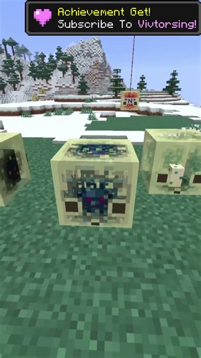 You Can Put Any Blocks Inside Sulfur Cubes