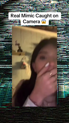 Real mimic Caught on Camera 😱. #scary #mystery #horror #scaryvideos #mimic