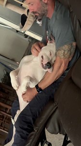 Adoption and fostering change and save lives! Some dogs can acclimate quicker than others, depending on the trauma they endured prior to being in a safe home. But the fact that it’s in their DNA to desire to trust us with their whole hearts after whatever they’ve been through.. every single floof angel deserves a human who will keep them safe. 🤍 #whywerescue #dogreels #dogdad #familyreels #family #dogsoffacebook #cutedogs #doglife #dogoftheday #adoptashelterpet #adoptadog PAWS Shelter of Centra