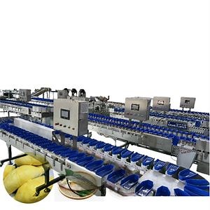 Chicken Wings and Fish Weight Sorting Machine, Automatic Weight Sorting Machine