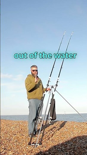 Dog fish Shingle Street Suffolk #ShingleStreet #seafishing #seafishinguk