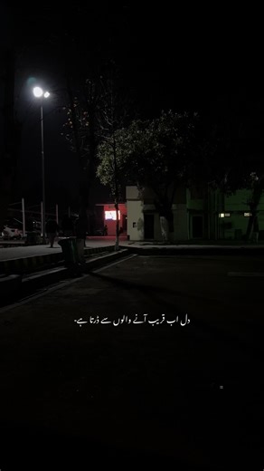 Exploring Concrete Paving Solutions and Techniques