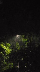 Remember this beautiful Dua:💫 | Alhamdulillah