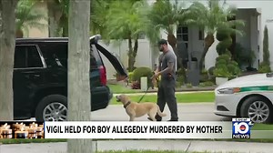 5.5K views · 28 reactions | LOCAL 10 RIGHT NOW! A deadly shooting investigation is underway on I-395 in Miami, and the NTSB says there is no evidence of a small plane failing before it crashed in Miramar. Local 10’s Jenise Fernandez has the latest. | WPLG Local 10 | Facebook