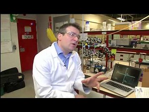 Test for Carbon Monoxide in the Body Could Help Diagnose Disease