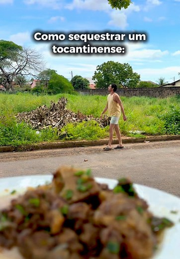 Explorando Tocantins: Culturais e Curiosidades