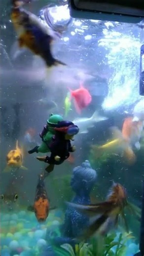 different beautiful fice 🐟🐬🐋😍😍🥰🥰#shorts#youtubeshorts#treding#viral#nature#love#fish#petlife#cutpet🥰