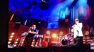 Happy New Year | The MOD Collective