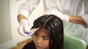 Full Service Lice Removal Treatment