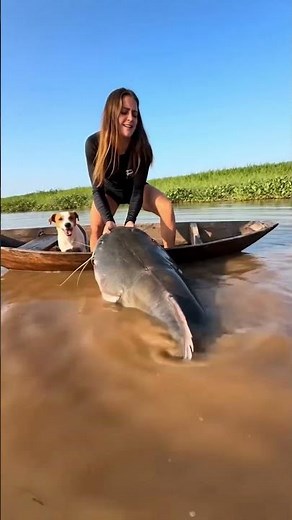 Giant Nile Perch Catch on the Congo River! 🎣