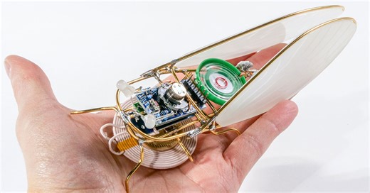 anne niemetz's kihikihi electronic insect orchestra composes interactive sound installation