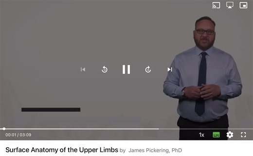 Surface Anatomy of the Upper Limb Explained