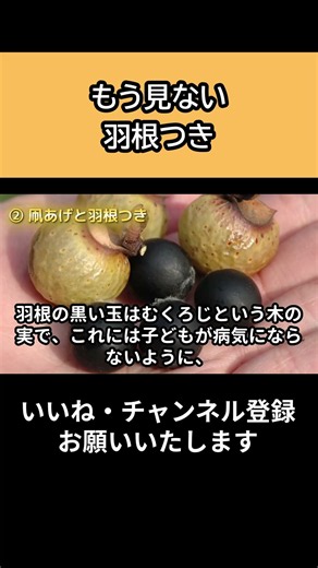 【昭和30年〜40年】もう会えないお正月の風物詩5選 懐かしの昭和にタイムスリップ（1955〜1965年）【年賀状】【こたつでみかん】【初詣】