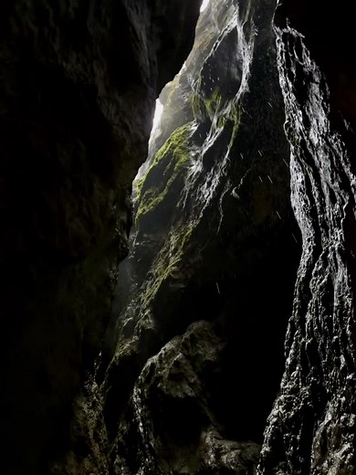 Explora los Alpes Bavarianos y sus Ríos