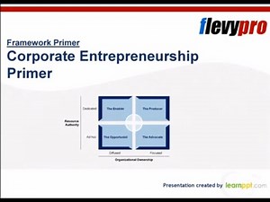 Corporate Entrepreneurship Primer