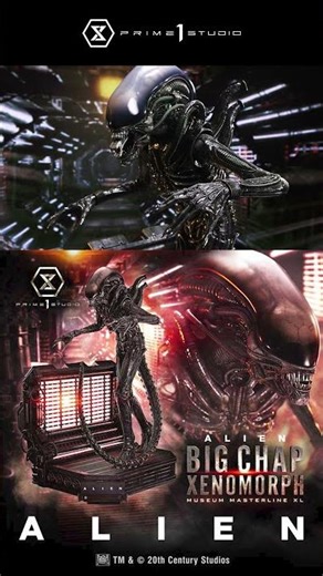 Big Chap Xenomorph Regular Ver. | Shorts | Prime 1 studio