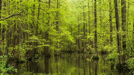 A campground in Delaware was named one of the best in the Northeast. Have you visited?