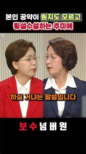 본인 공약인데도 횡설수설하는 추미애